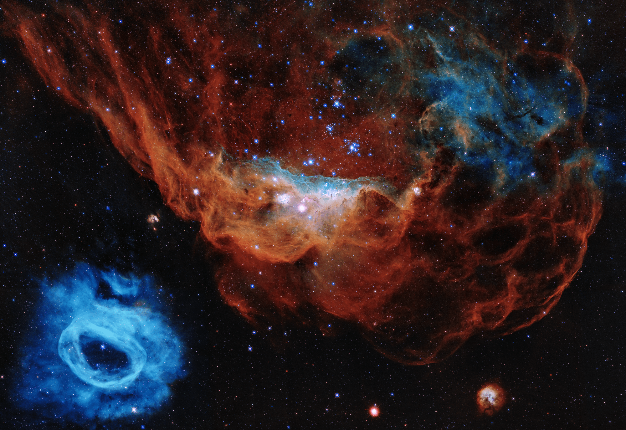 The giant red nebula (NGC 2014) and its smaller blue neighbour (NGC 2020). (Image: NASA, ESA and STScI)