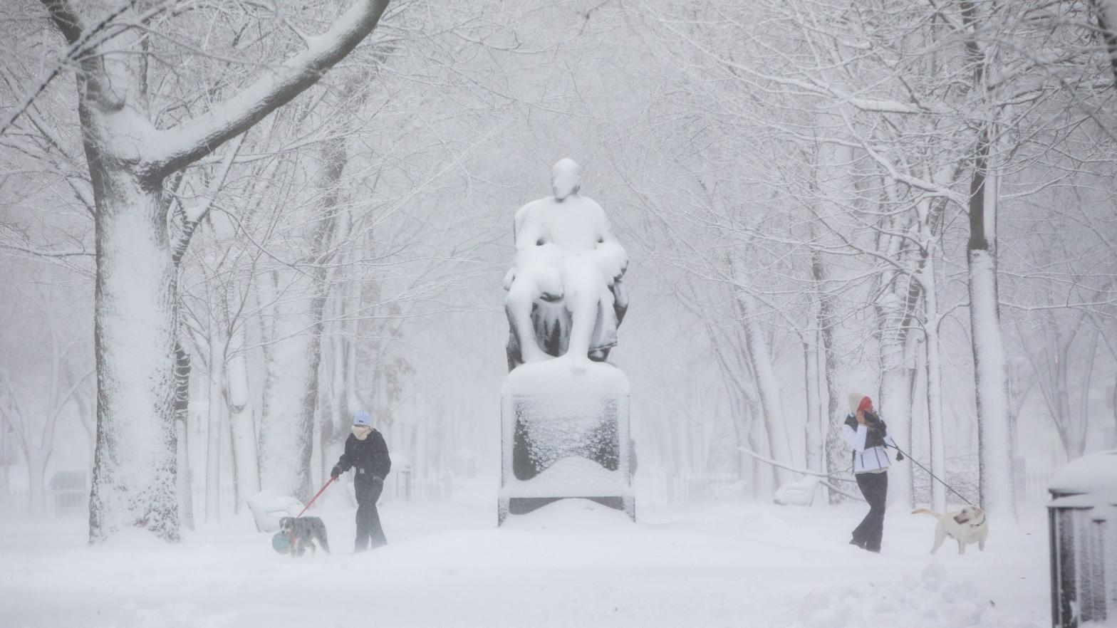 People walk their dogs on the snow-blanketed Commonwealth Mall on Dec, 17, 2020 in Boston. (Photo: Scott Eisen, Getty Images)
