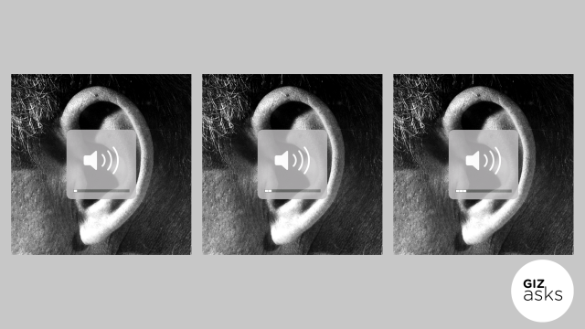 Can You Train Your Ears to Become More Sensitive?