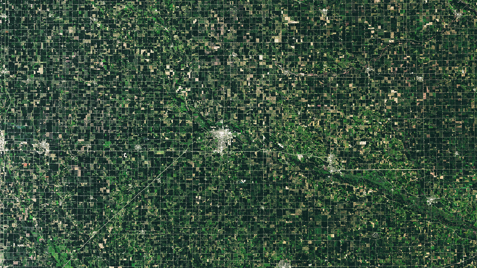 Before and after images from the Iowa derecho show the extent of damage to cornfields. The darker green image is from July 10. The lighter image is from Aug. 11 after the derecho passed through. Wind-damaged crops show up as a lighter green while darker areas in the after image could be areas where less damage took place or where tree breaks stand. (Gif: NASA)