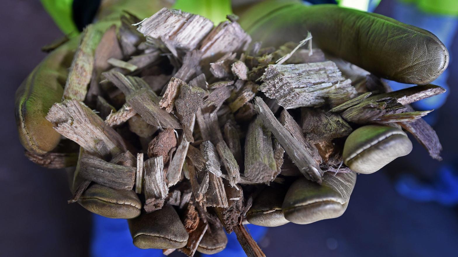 Wood pellets to be burned in a biomass-powered plant. (Photo: Boris Horvat, Getty Images)