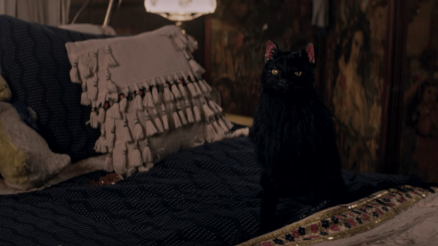 How I've missed you, puppet Salem.  (Image: Netflix)