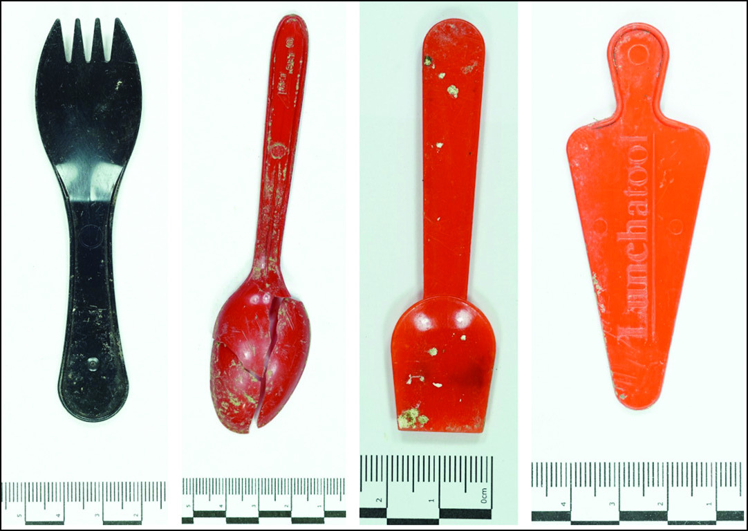Plastic utensils. (Image: H. Mytum et al., 2021/Antiquity)