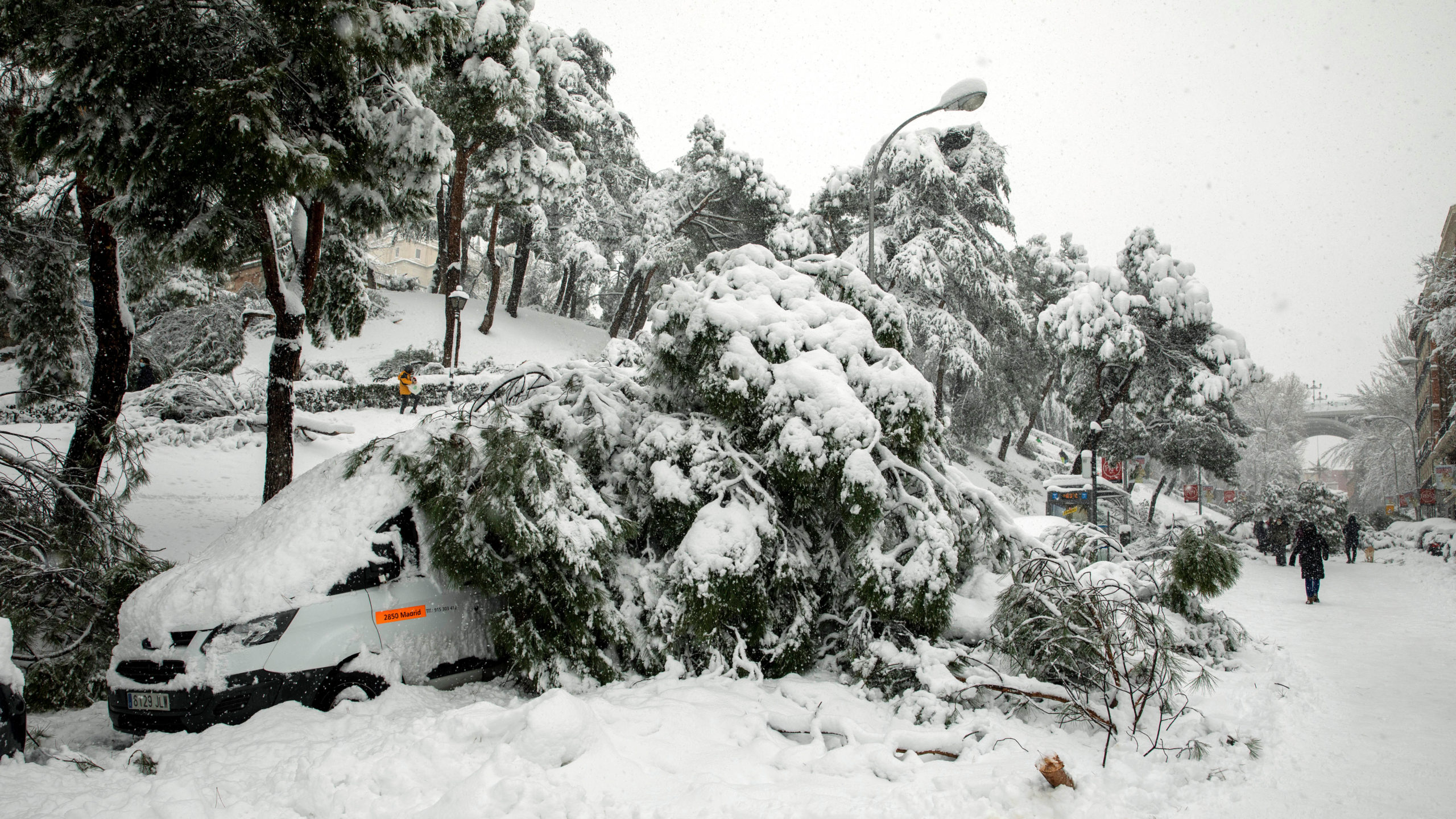 A tree has fallen on top of a car during heavy snowfall on January 09, 2021 in Madrid, Spain. (Photo: Pablo Blazquez Dominguez, Getty Images)