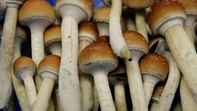 Psychedelic Mushrooms Grew in a Man’s Veins After He Injected Them