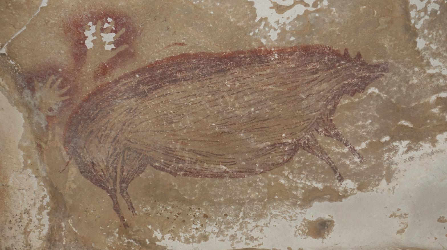 The painting of a warty pig at the Leang Tedongnge cave site in Indonesia.  (Image: Maxime Aubert)