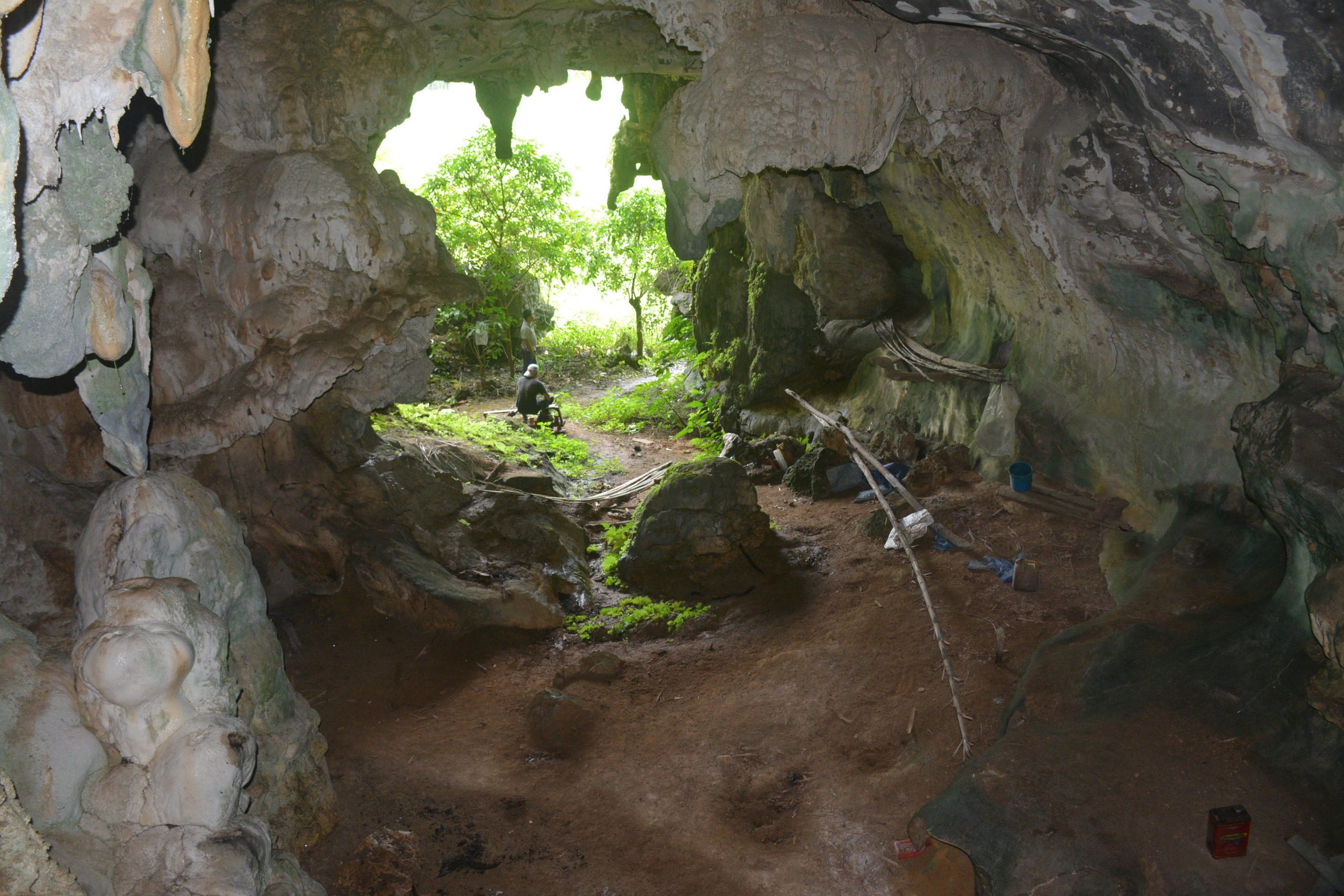 The entrance to Leang Tedongnge cave. (Image: AA Oktaviana)