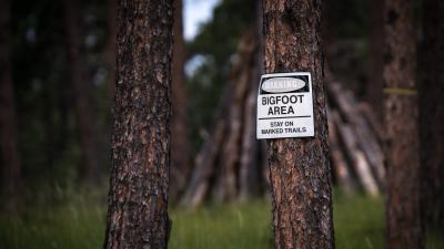 Nobody Wants Oklahoma’s Proposed Bigfoot Hunting Season