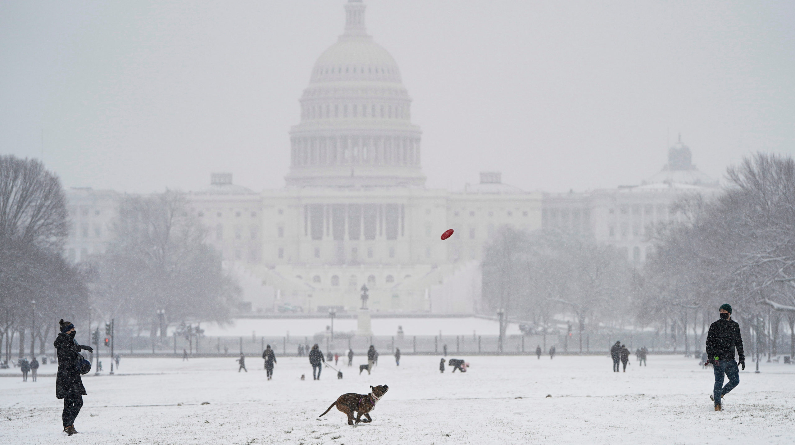 Photo: Joshua Roberts, Getty Images