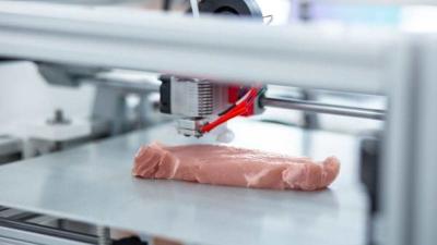 We’re Just Out Here 3D-Printing Meat Now, I Guess