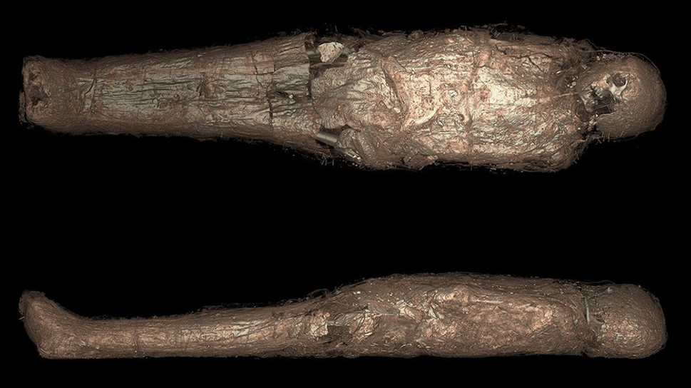 3D-rendered CT scans of the mummy.  (Image: K. Sowada et al., 2021/PLOS One)