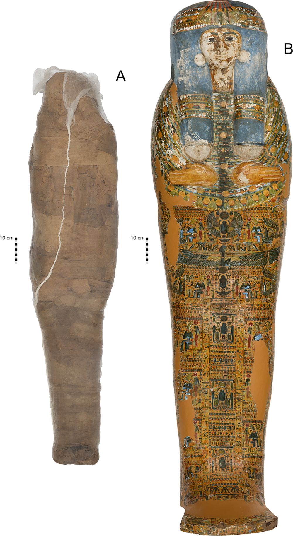 The mummified individual and coffin.  (Image: K. Sowada et al,, 2021/PLOS ONE)