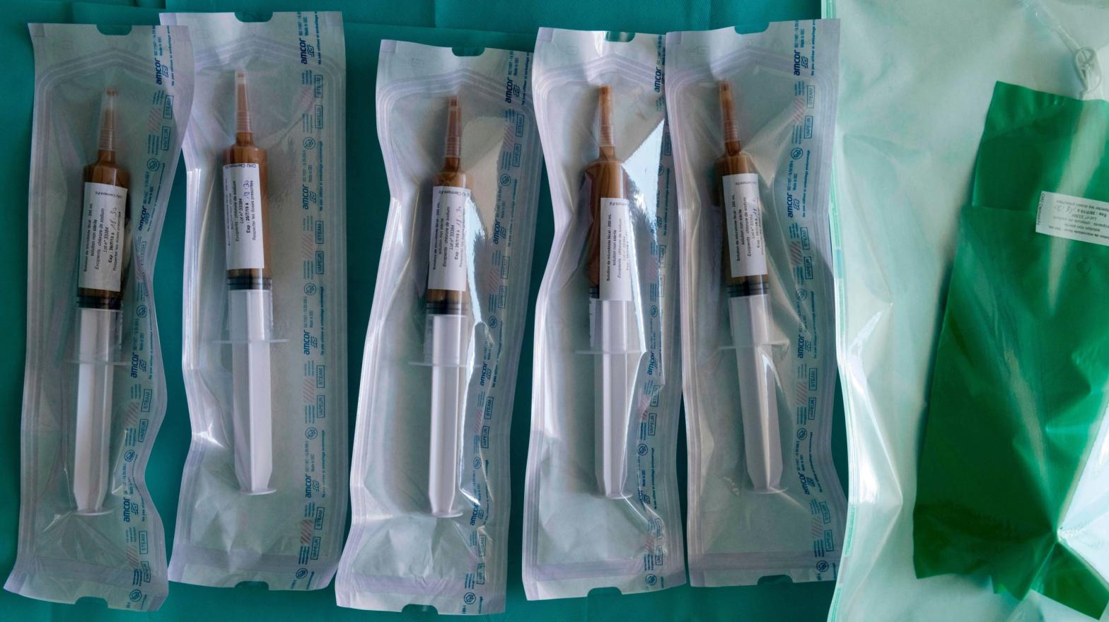 Syringes filled with stool being prepped for faecal microbiota transplantation.  (Photo: Thierry Zoccolan, Getty Images)