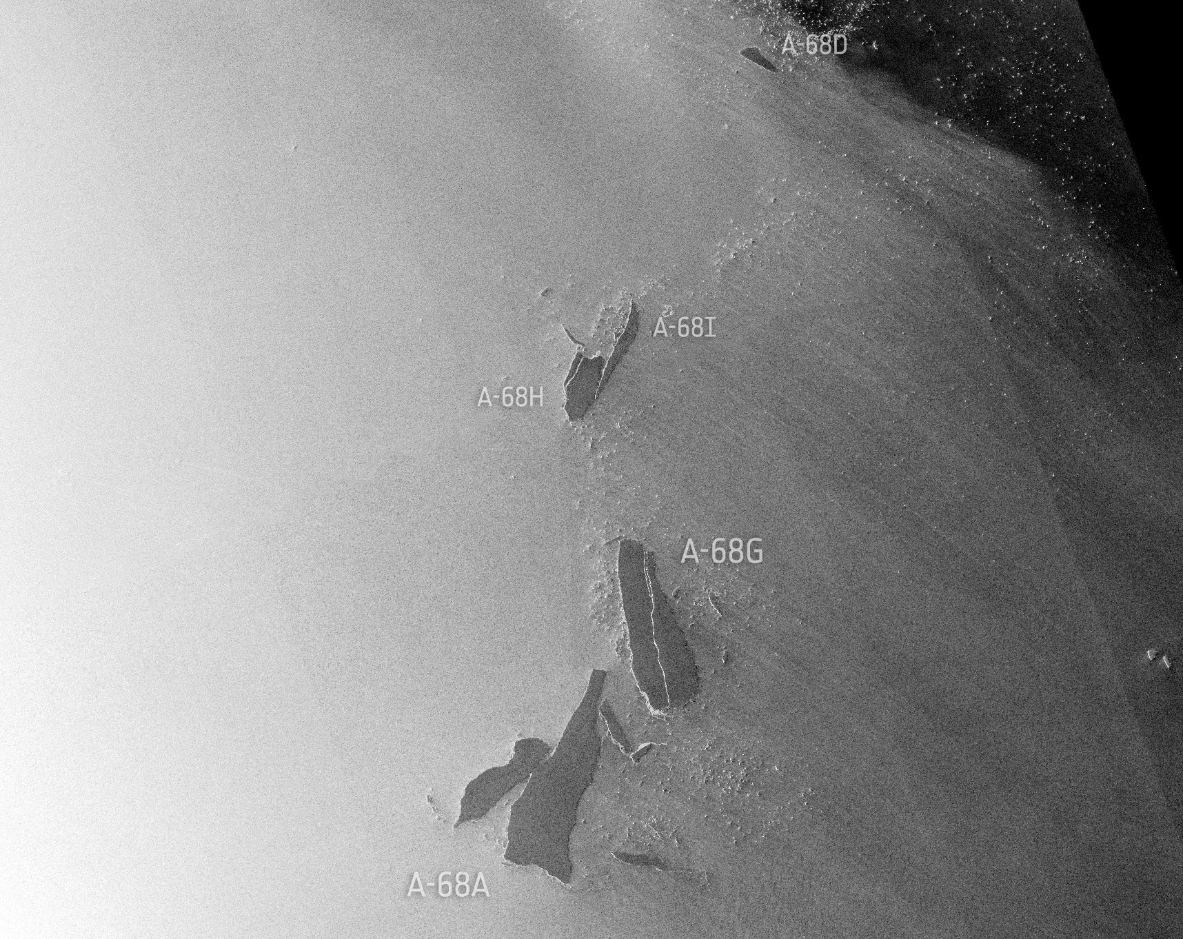 The A68 family of icebergs, as they appeared on February 1.  (Image: ESA/Sentinel-1/Copernicus)