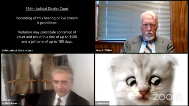 Zoom conference where a cat appeared as a filter for a lawyer