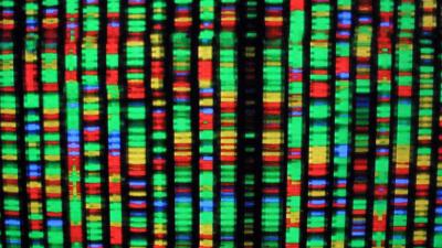 Artificial Human Genomes Could Help Overcome Research Privacy Concerns