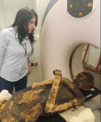 Study co-author Sahar Saleem placing the mummy in the CT scanner. (Image: Sahar Saleem)