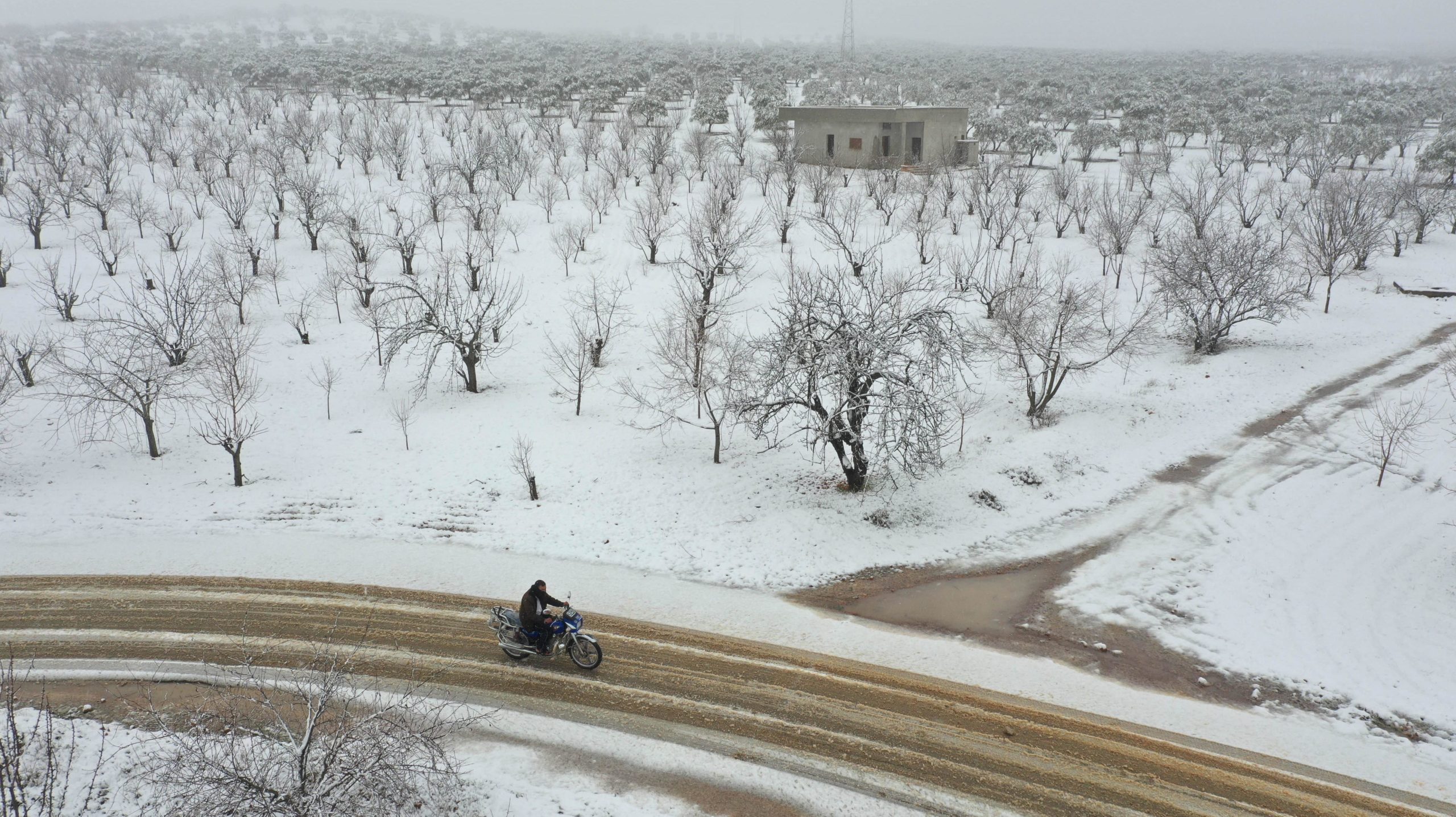  A Syrian man rides a motorcycle among groves covered with snow in the Jabal al-Zawiya region in the rebel-held northern countryside of Syria's Idlib province, on Feb. 17, 2021. (Photo: Omar Haj Khadour, Getty Images)