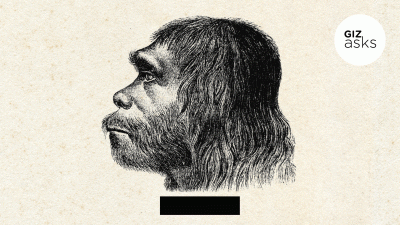 Did Neanderthals Have the Capacity for Verbal Language?