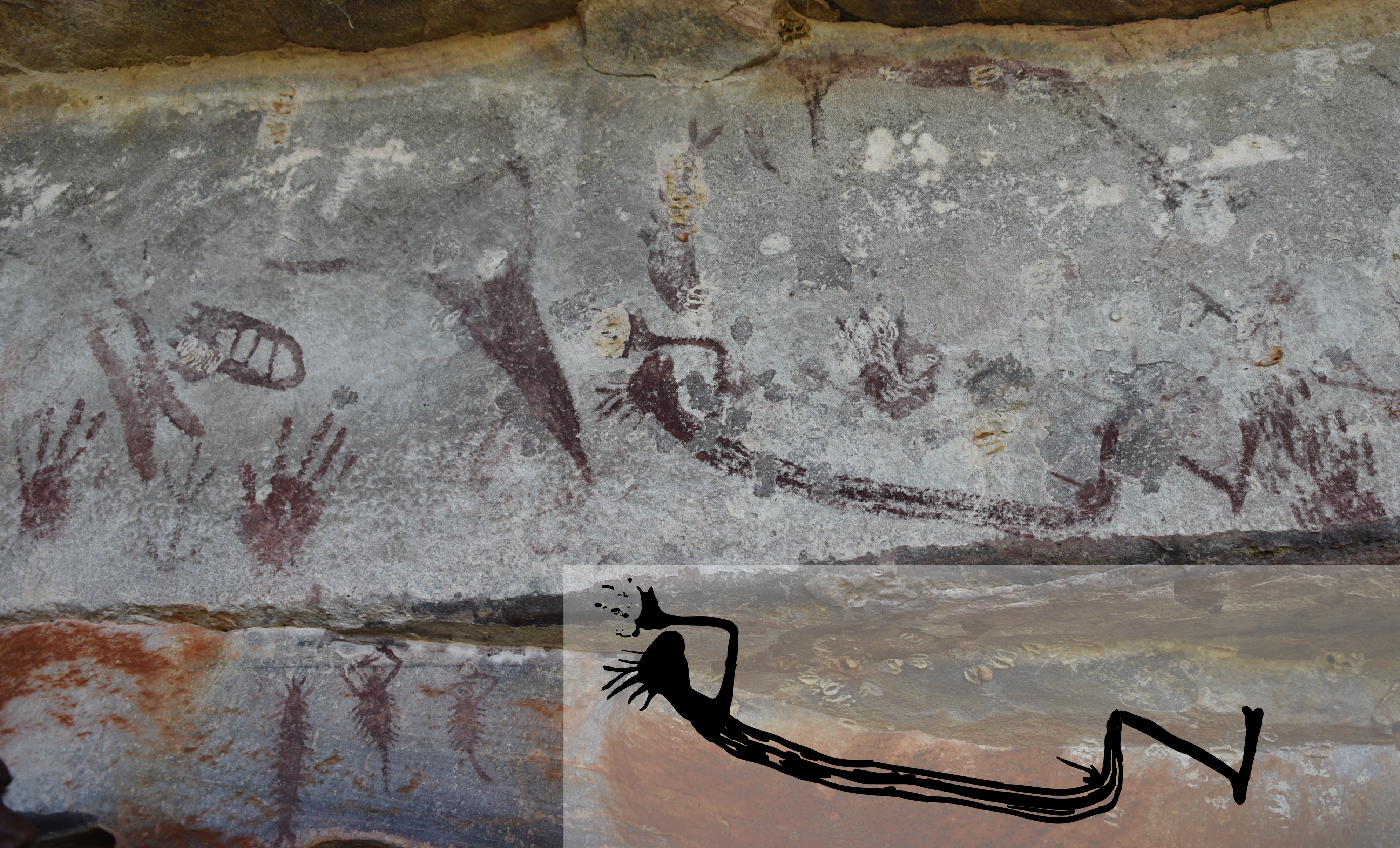 A rare depiction of a human, seen in a reclining position. Yellowish splotches on the cave wall are former mud wasp nests, which was used to date the artworks.  (Image: Pauline Heaney and Damien Finch)