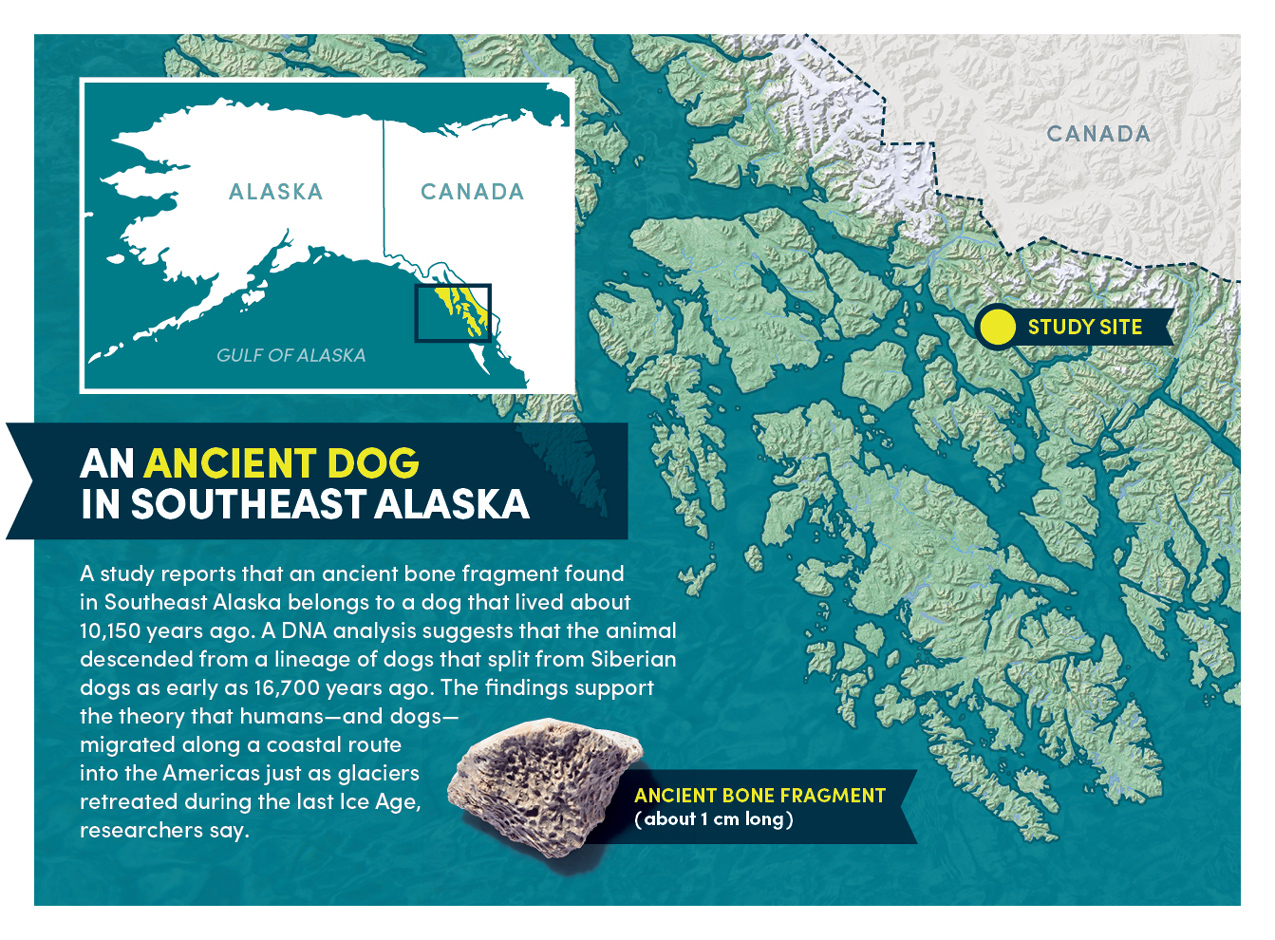 A map showing where the bone fragment was found.  (Image: Bob Wilder/University at Buffalo)