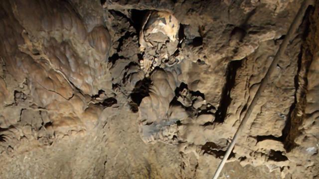 How This Ancient, Defleshed Human Skull Ended Up in Such a Strange Spot