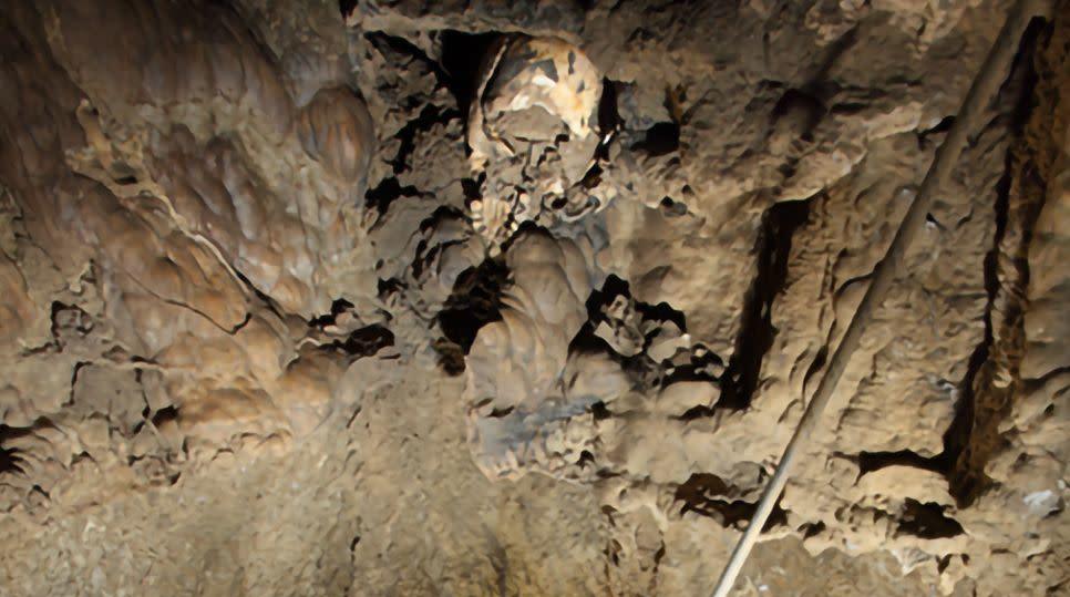 The skull as it was found inside the cave shaft.  (Image: Belcastro et al, 2021, PLOS ONE)