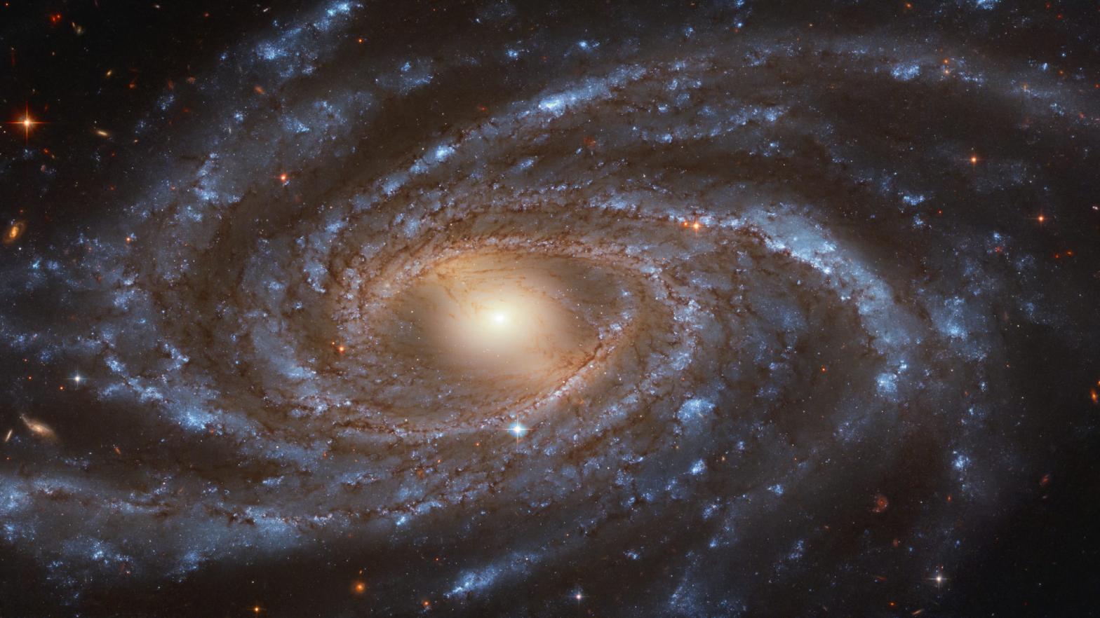 Spiral galaxy NGC 2336. (Image: ESA/Hubble & NASA, V. Antoniou; Acknowledgment: Judy Schmidt)