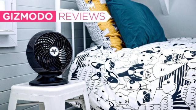 This Vornado Fan Is the Best Thing I Own (and It’s 30% Off)