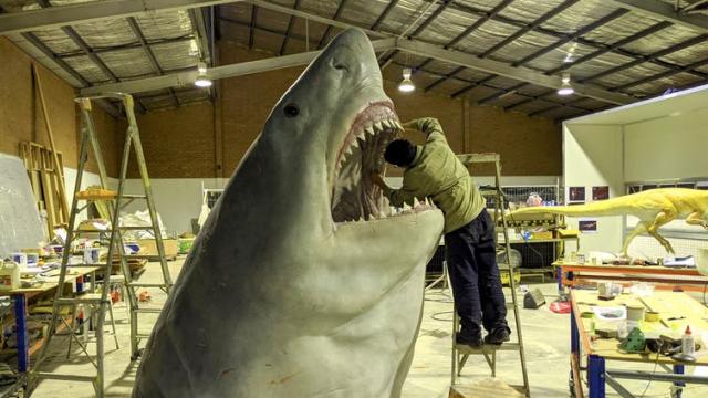 How Scientists Estimate the Size of the Megadolon, the Largest Ever Killer Shark