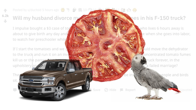 This Reddit Thread About Dehydrating Tomatoes In A Ford F-150 With A Parrot Is So Very Confusing