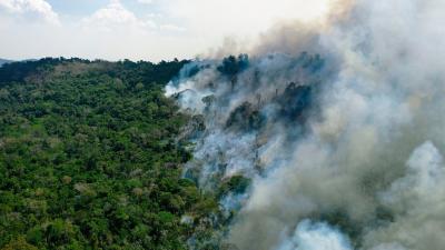 Shocking Findings Show the Amazon May Already Be a Greenhouse Gas Emitter
