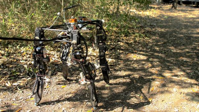 The DyRET Robot Can Rearrange Its Body To Walk in New Environments