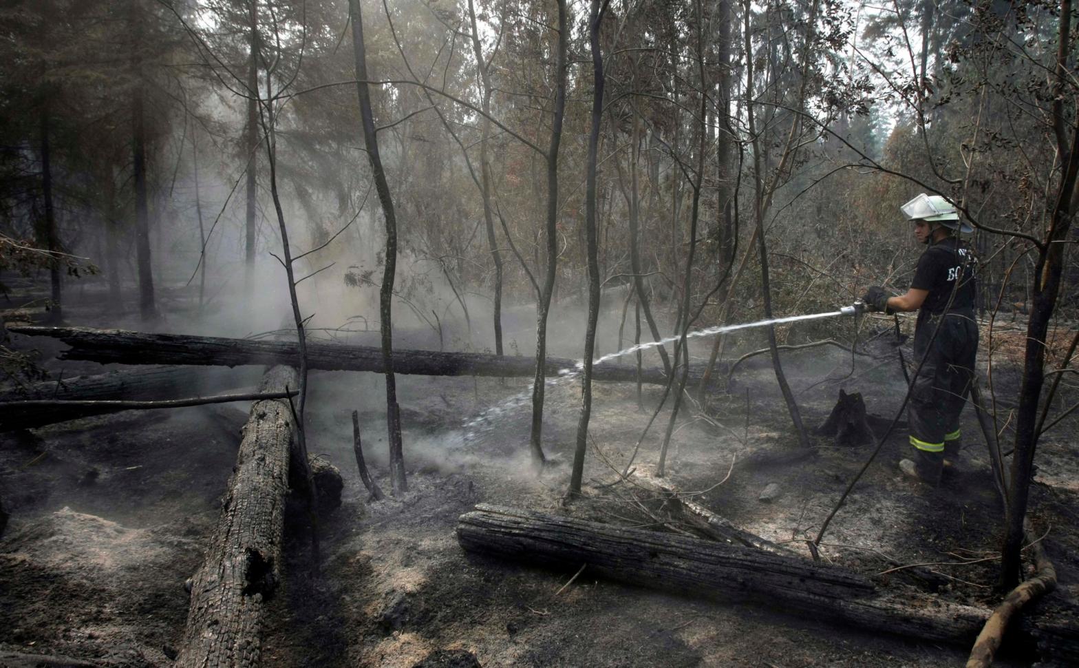 A Bulgarian firefighter hoses water onto smouldering tree trunks in a forest in the Noginsk district on Aug. 10, 2010 to prevent resumption of fire.  (Photo: Misha Japaridze, AP)