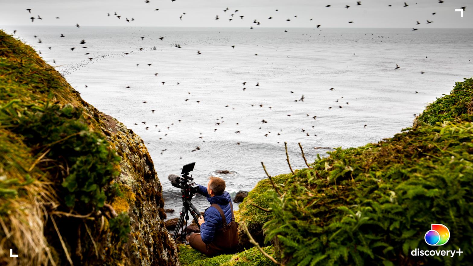Ian Shive documents seabirds. (Photo: Ian Shive/discovery+)