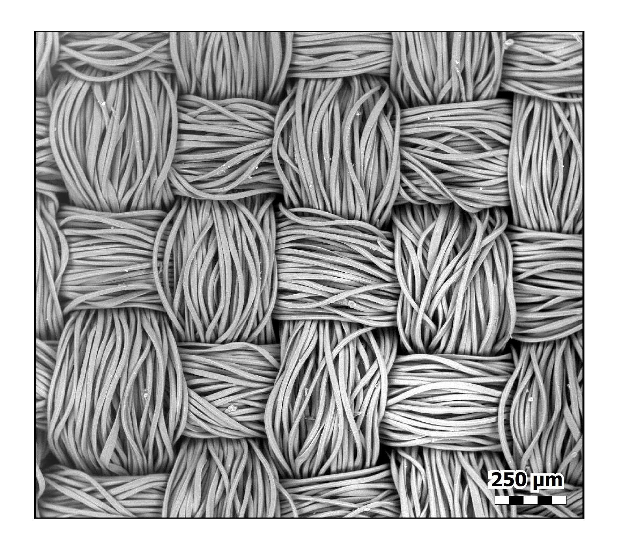 This top-down view of polyester shows how the fibres stay nicely bundled. This image is from the same type of fabric as those quick-drying shirts you might wear to the gym.