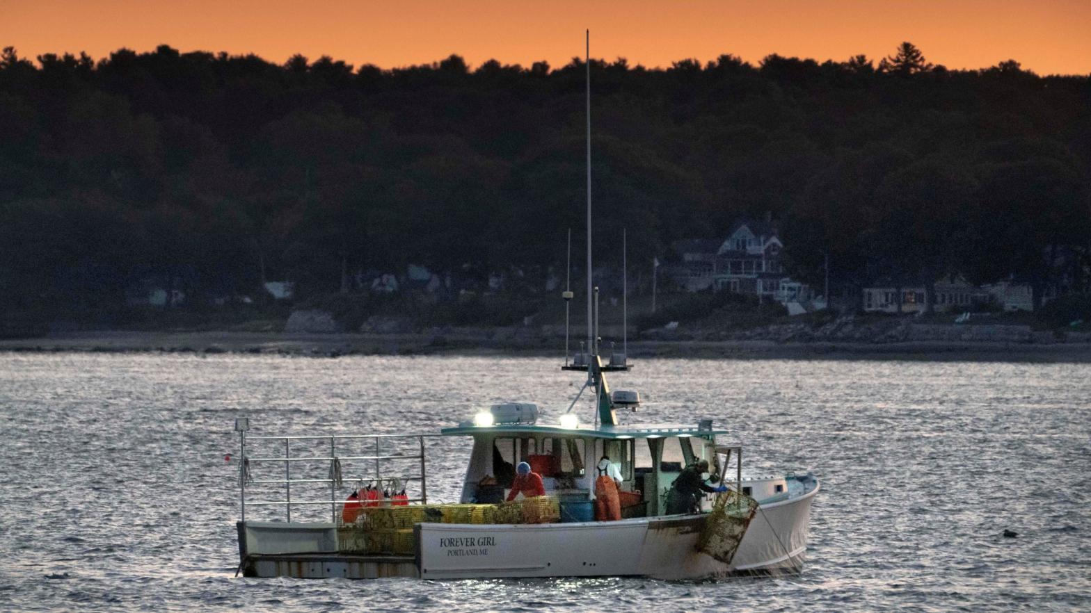 The crew on a lobster boat hauls traps off the coast of Portland, Maine. (Photo: Robert F. Bukaty, AP)