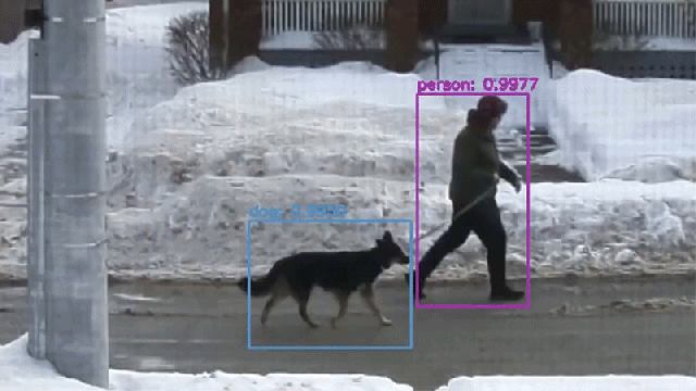 Neighbourhood Hero Builds AI-Powered Device That Automatically Compliments Dogs Walking By
