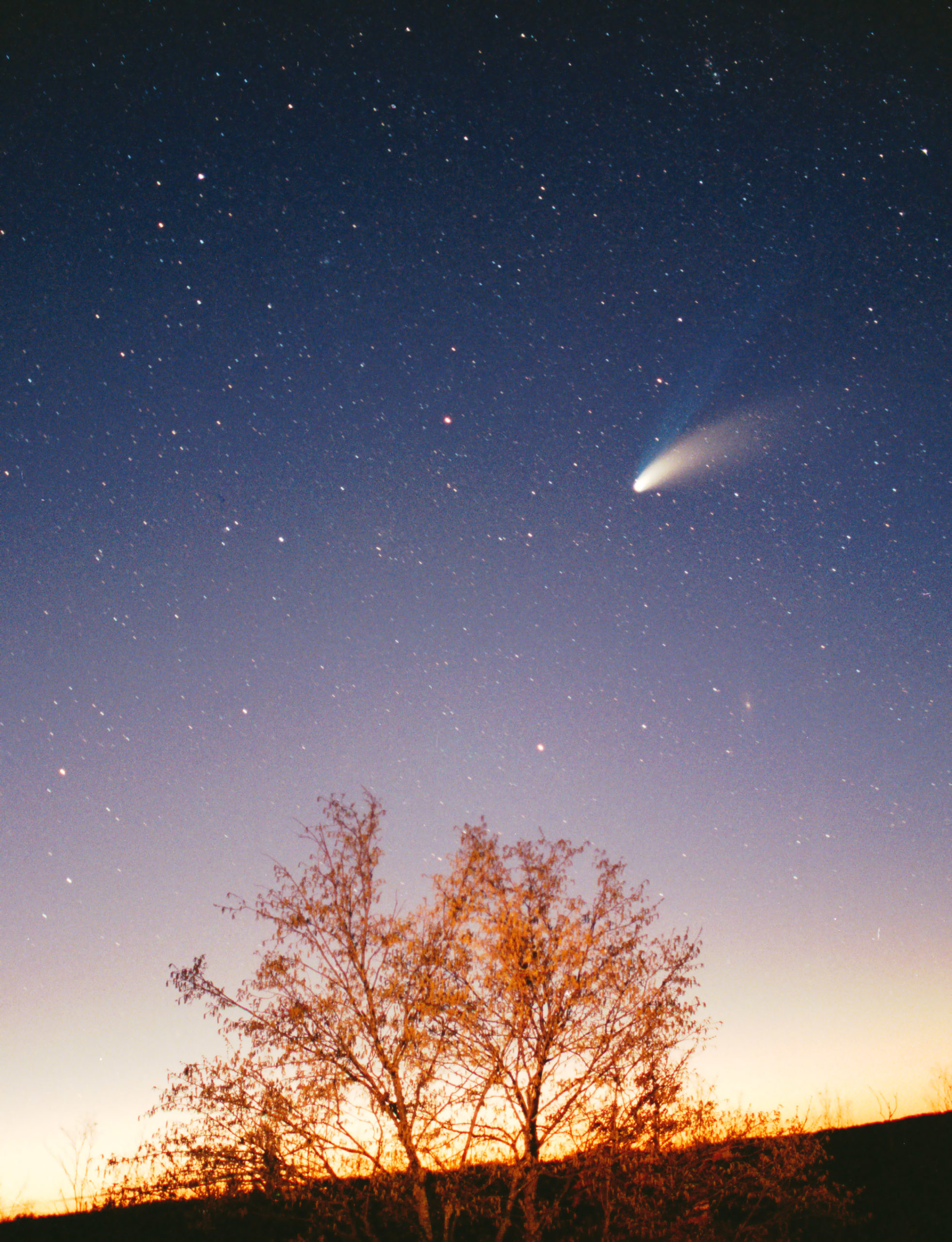 Comet Hale-Bopp, as seen on March 29, 1997. (Image: Philipp Salzgeber)