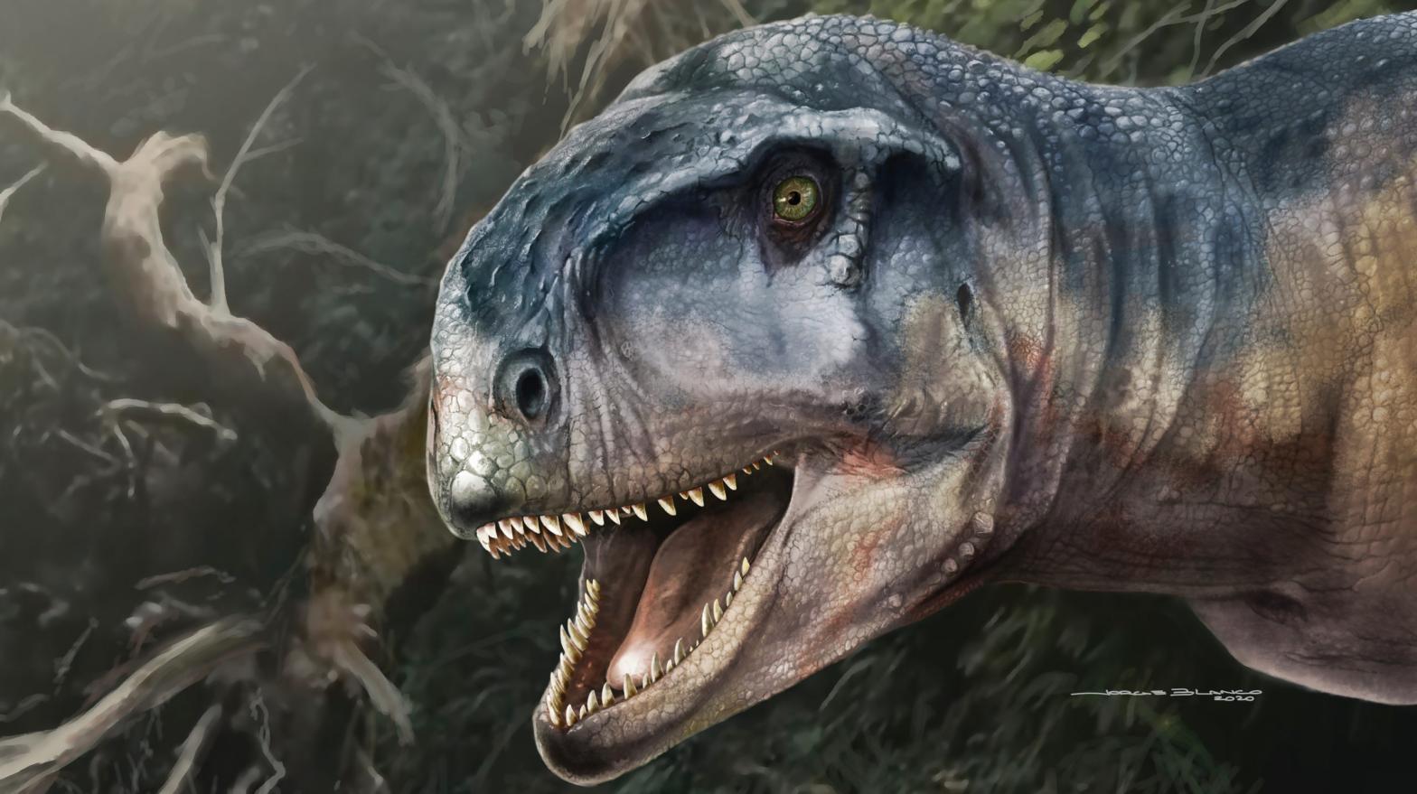 An artist's depiction of the extinct abelisaur. (Illustration: Jorge Blanco and Journal of Vertebrate Paleontology)