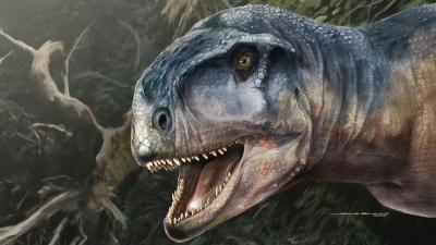 Dinosaur Found in Argentina Looked Like a Bumpy-Headed T. Rex