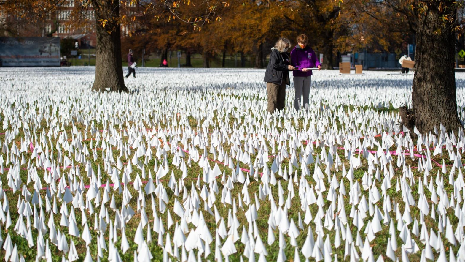 Volunteers working on an outdoor public art installation in Washington DC. created by Suzanne Firstenberg, December 2020. The white flags are meant to represent each life lost to covid-19 in the U.S.