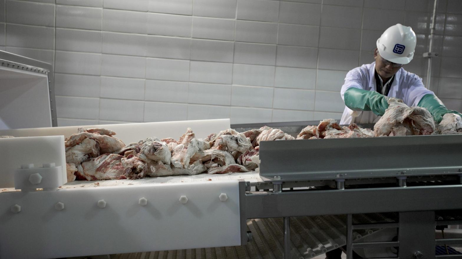 A worker processes cuts of beef. (Photo: Nati Harnik, AP)