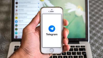 Australian Politicians Keep Falling For Telegram Scams