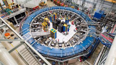 Physics Mystery Gets Even Deeper After Long-Awaited Muon Reveal