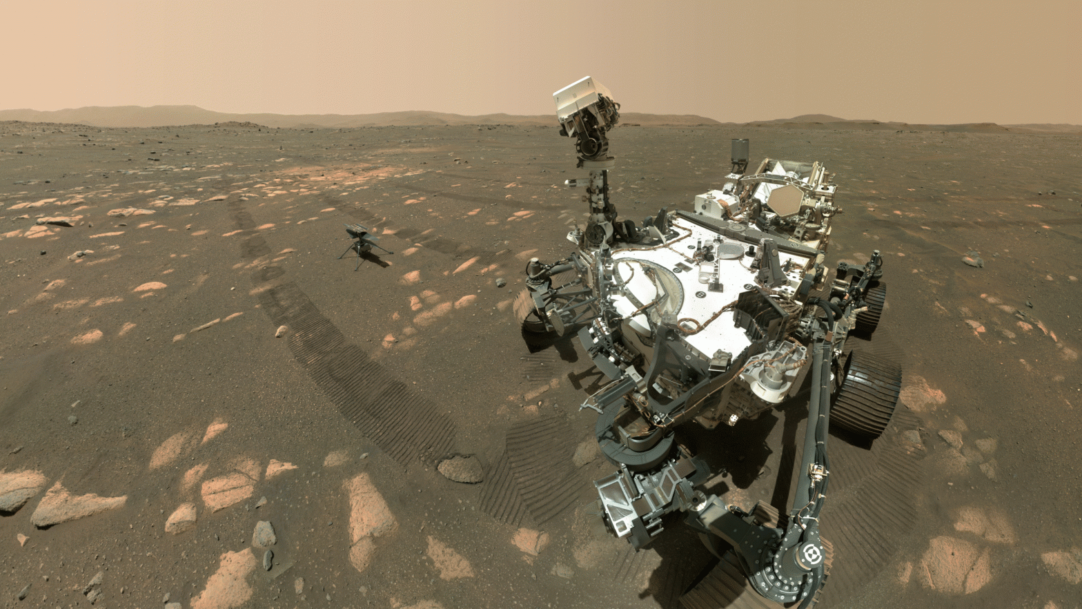 Perseverance and Ingenuity together on the surface of Mars. (Gif: NASA/JPL-Caltech/MSSS)