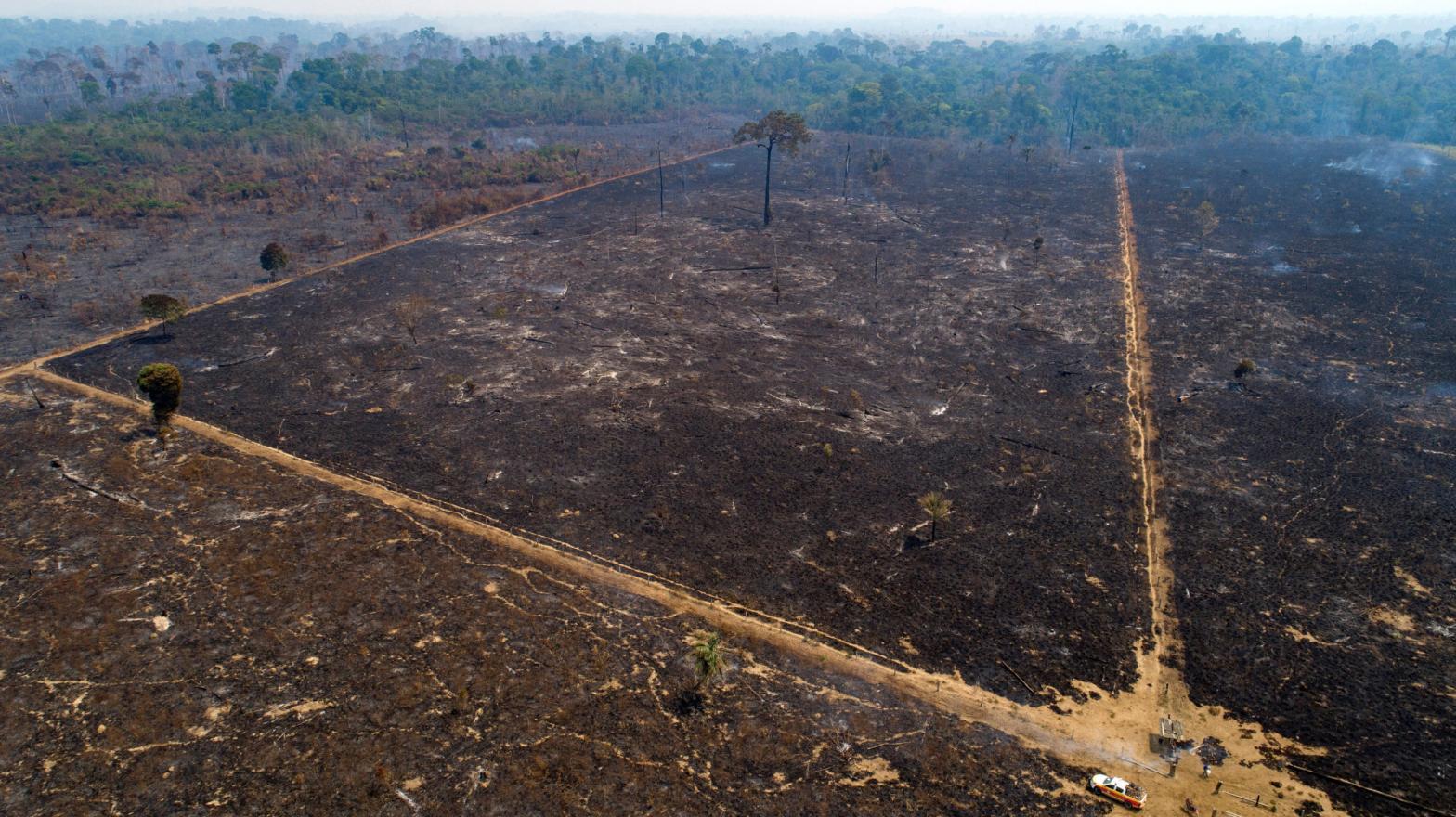 An area consumed by fire and cleared near Novo Progresso in Para state, Brazil. (Photo: Andre Penner, AP)