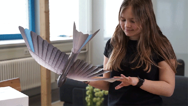 You’ll Soon Be Able to Buy and Build Festo’s Incredibly Agile Wing-Flapping Robotic Bird