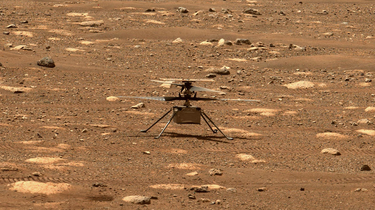 The Ingenuity helicopter standing on the surface of Mars, imaged by Perseverance rover. (Image: NASA/JPL-Caltech/ASU)