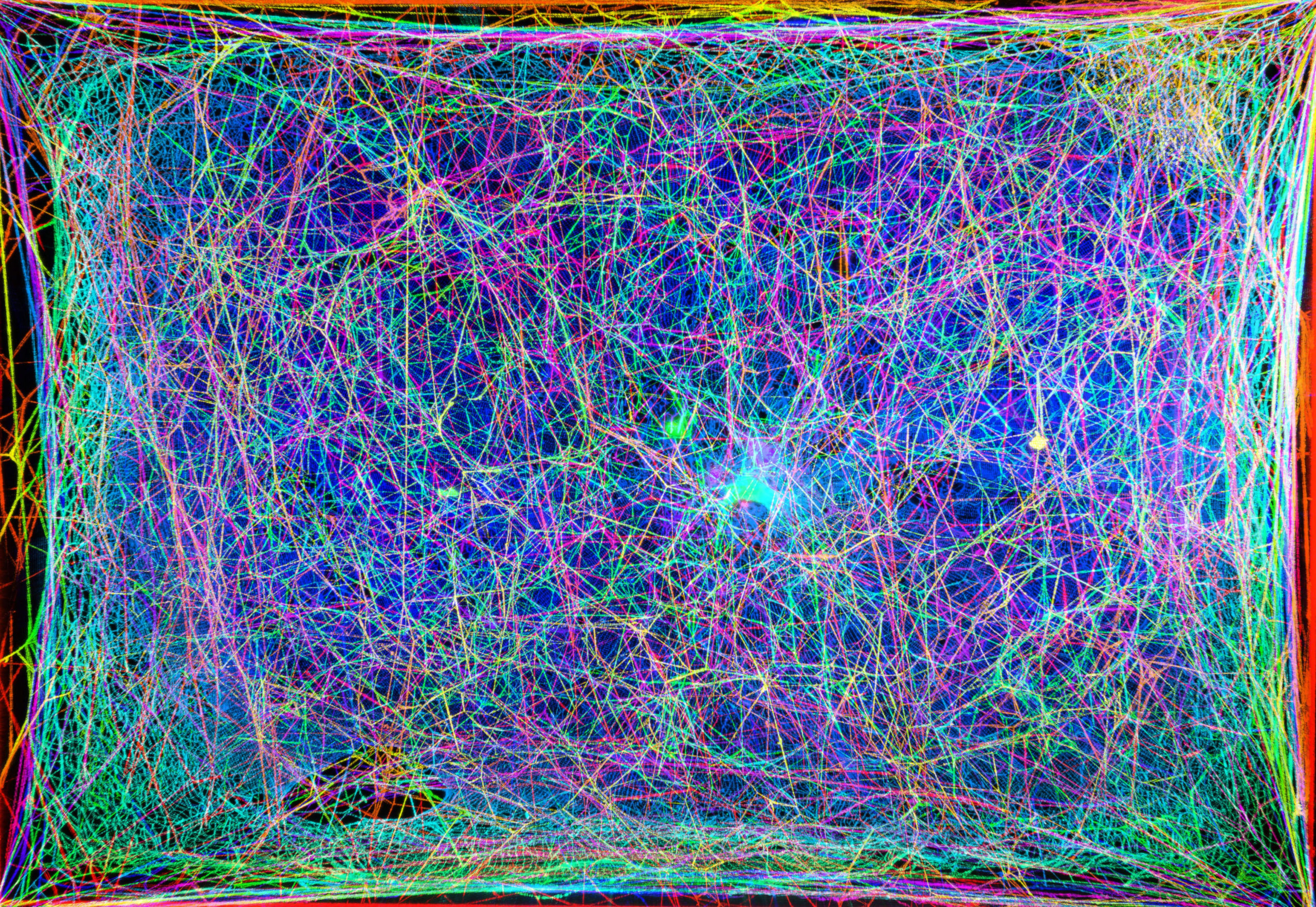 An overlaid image of different portions of the lab's spider web. (Image: Markus Buehler)
